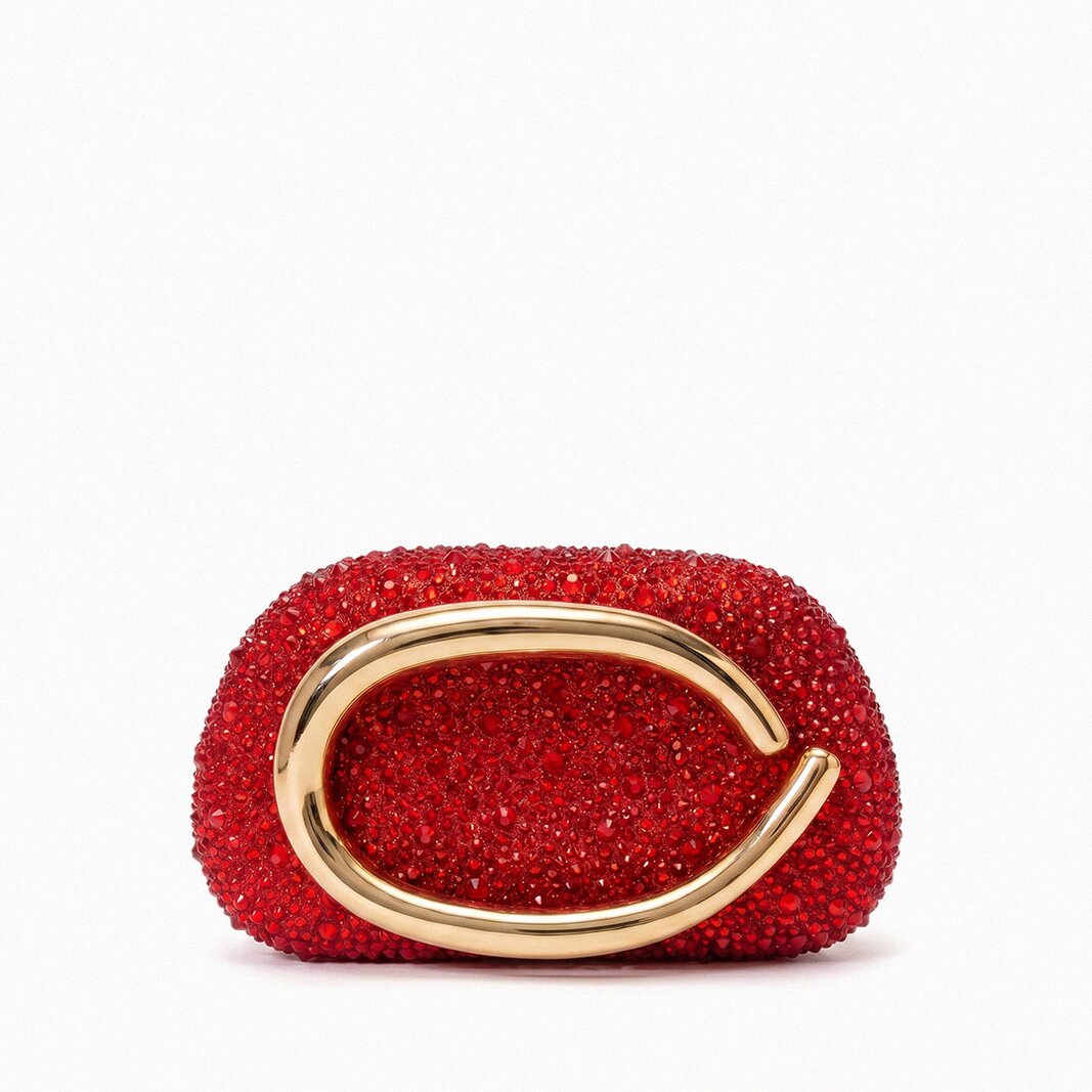 Evelisse Evening Bag